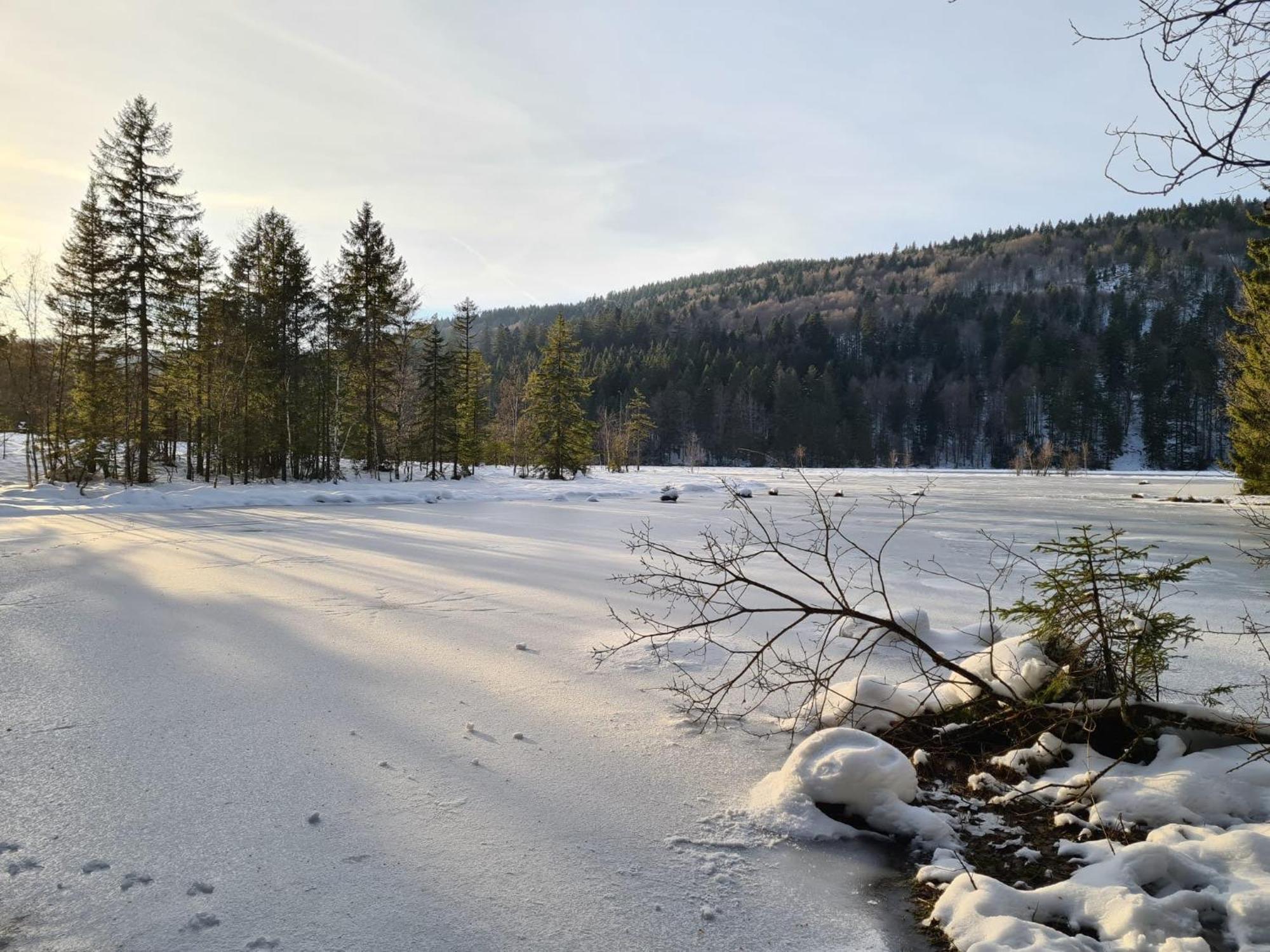 Le Renard Des Vosges Villa La Croix-aux-Mines Kültér fotó