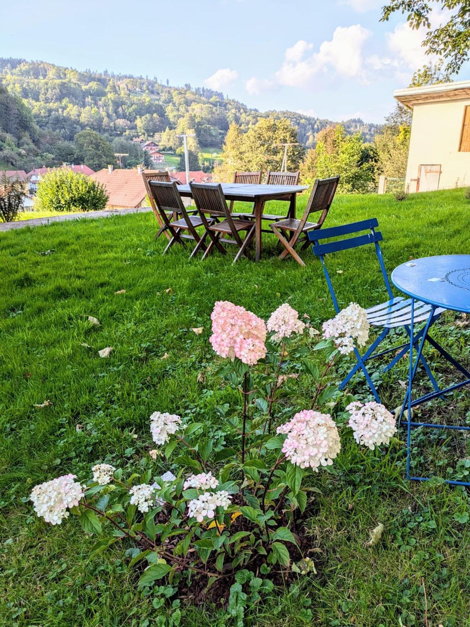 Le Renard Des Vosges Villa La Croix-aux-Mines Kültér fotó